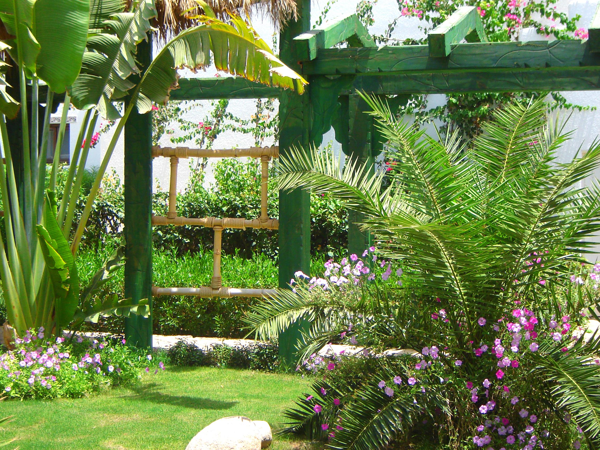 Delta Sharm Resort ,Official Web, Delta Rent, Sharm El Sheikh, South Sinai, Egypt Bagian luar foto